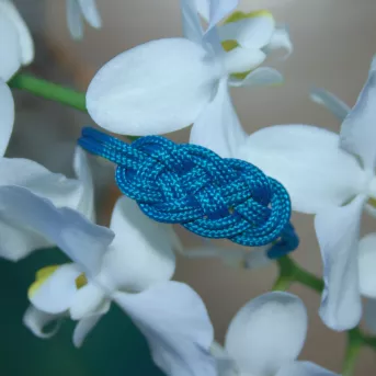 Bracelet Nœud de Carrick Vert Océan – 4 Finitions Disponibles | Atelier du nœud marin