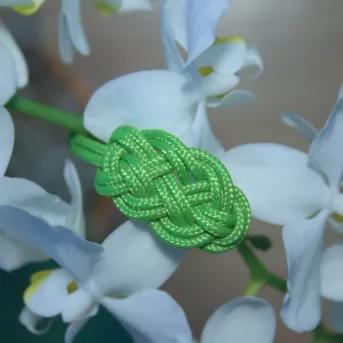 Bracelet Nœud de Carrick Vert Feuille – Paracord Résistant – Artisanat Français